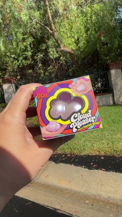 NeeDoh Cloud Pleaser customer photo 4